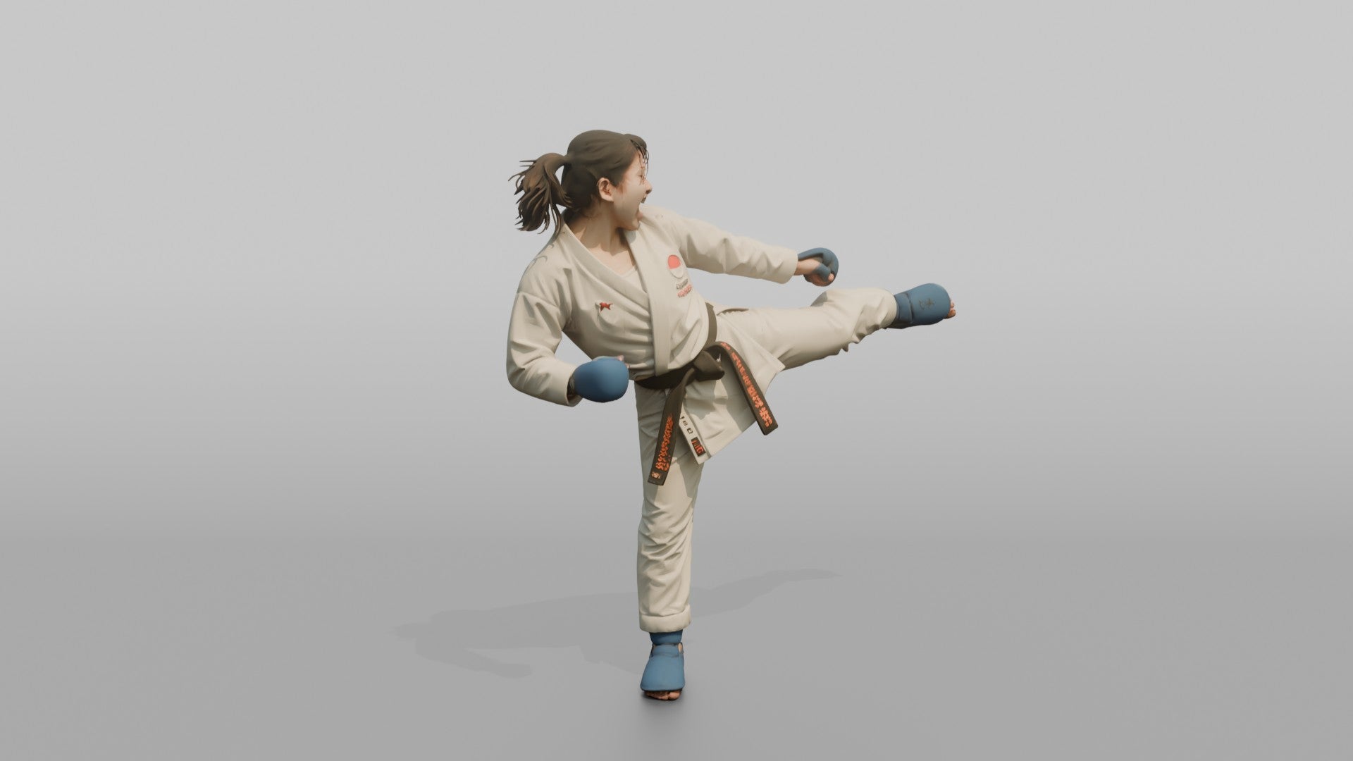 Karate Fighter Explosive Roundhouse Kick to the Torso