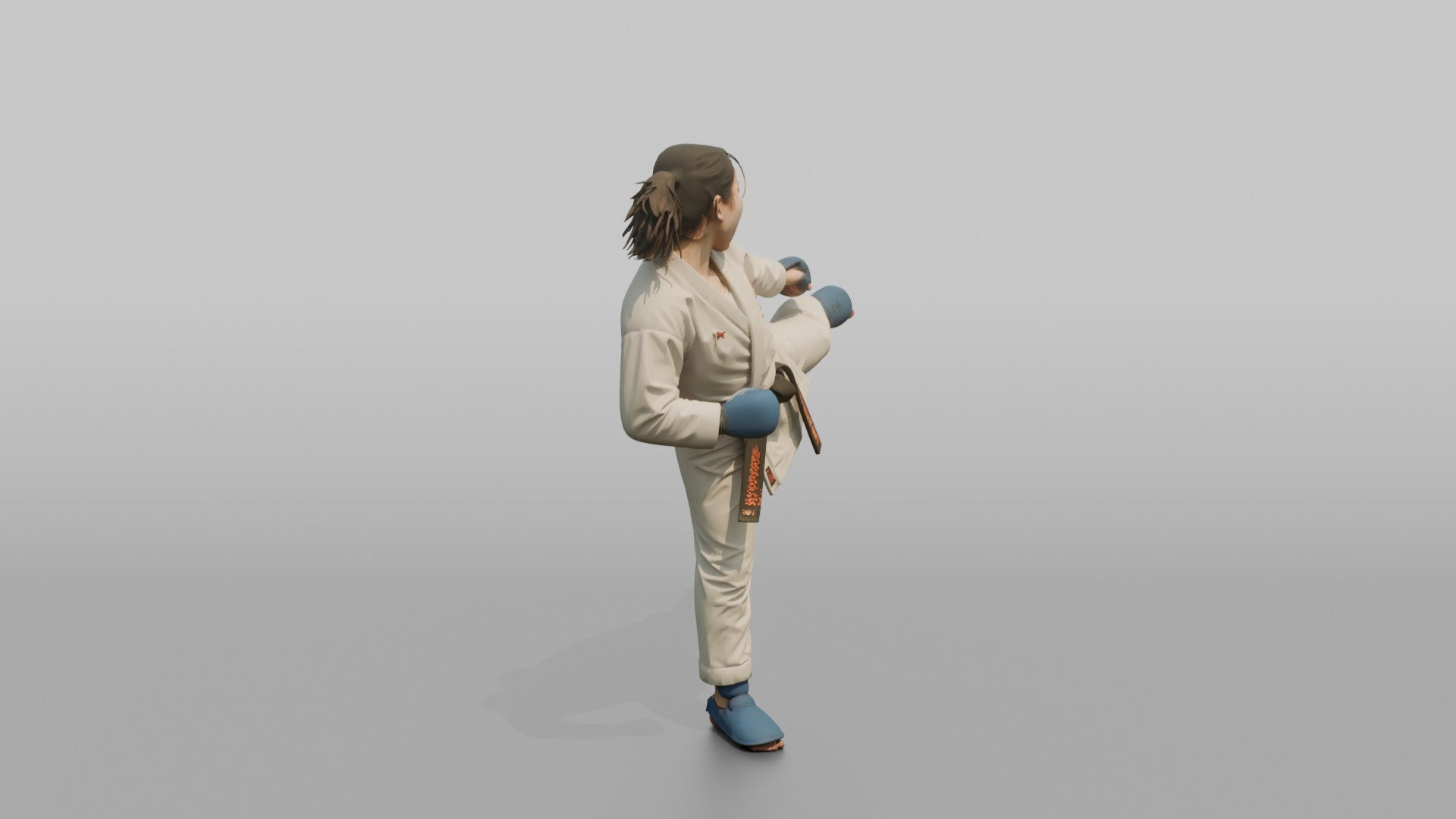 Karate Fighter Explosive Roundhouse Kick to the Torso