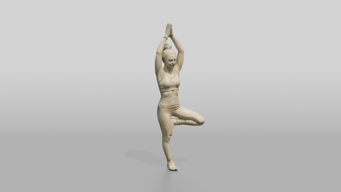 Tree Pose Woman Arms Raised