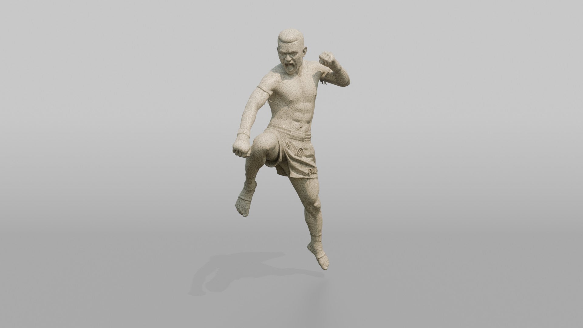 Muay Thai Fighter Flying Knee Strike