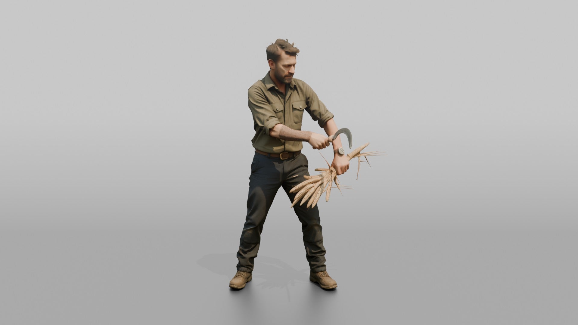 Farmer Slicing Wheat Stalks Hand Sickle